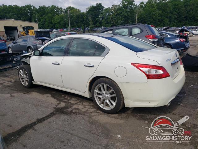 1N4AA5AP2BC825328 2011 NISSAN MAXIMA photo no. 2