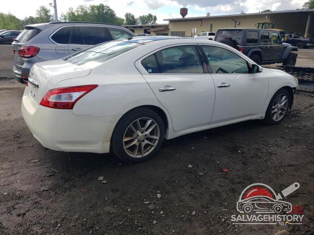 1N4AA5AP2BC825328 2011 NISSAN MAXIMA photo no. 3