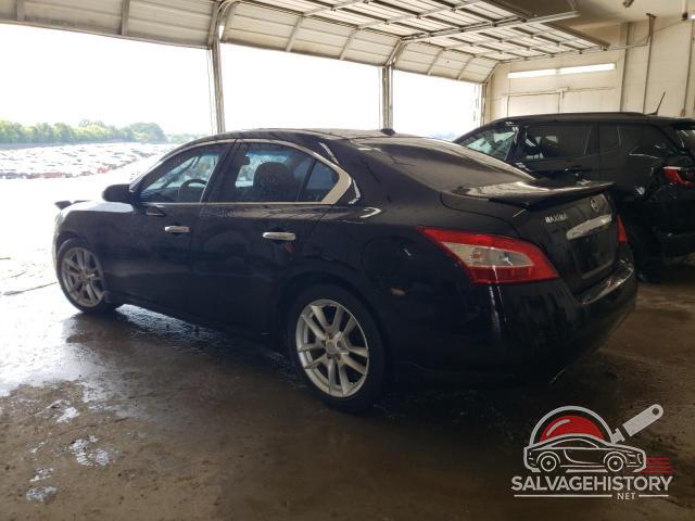 1N4AA5AP2BC850407 2011 NISSAN MAXIMA photo no. 2