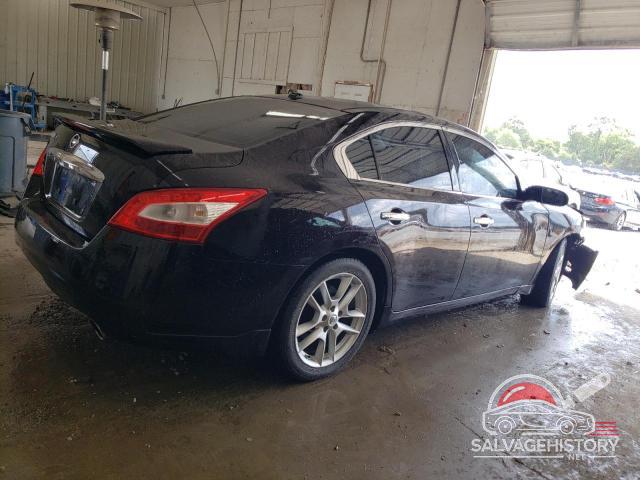 1N4AA5AP2BC850407 2011 NISSAN MAXIMA photo no. 3