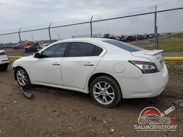 1N4AA5AP8EC448699 2014 NISSAN MAXIMA photo no. 2