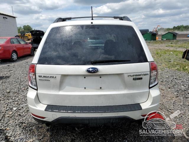 JF2SH6CC2AH704070 2010 SUBARU FORESTER photo no. 6