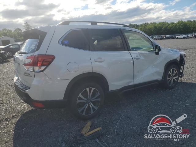 JF2SKAUC9KH588709 2019 SUBARU FORESTER photo no. 3