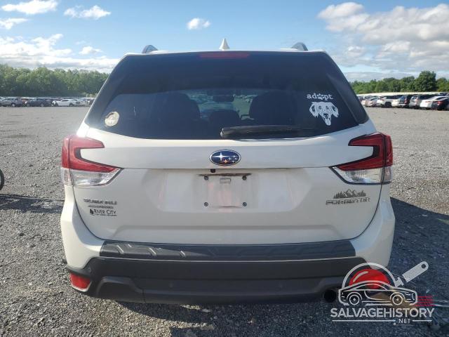 JF2SKAUC9KH588709 2019 SUBARU FORESTER photo no. 6