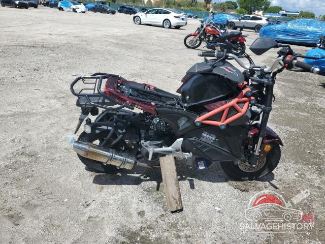 H0DTADFG8PX032720 2023 TAIZ SCOOTER photo no. 2