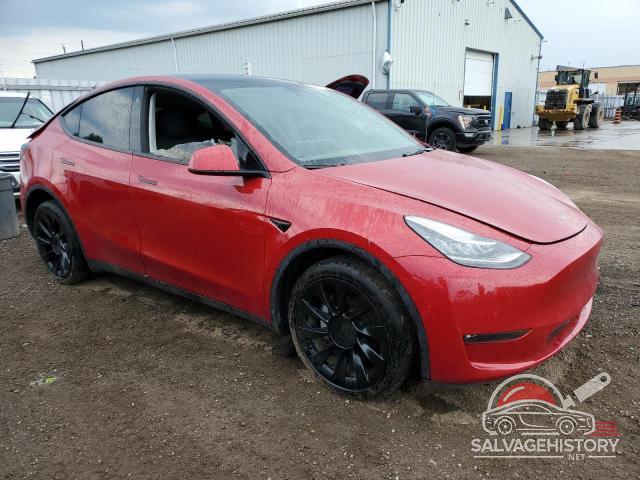 7SAYGDEE1NF384506 2022 TESLA MODEL Y photo no. 4
