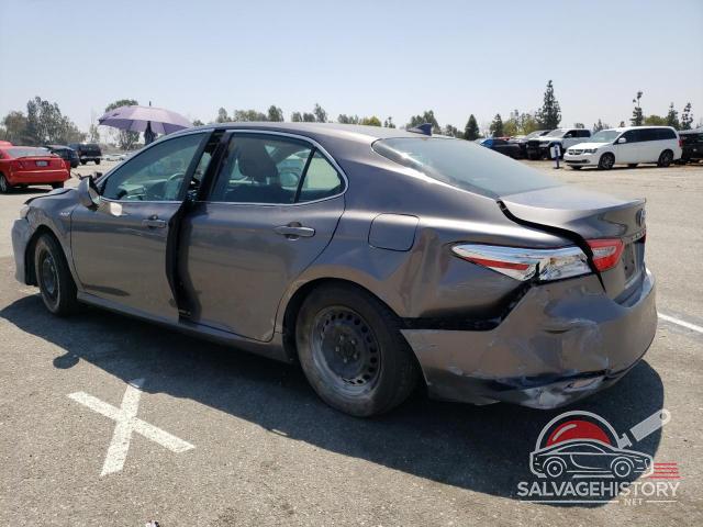 4T1B31HKXKU516336 2019 TOYOTA CAMRY photo no. 2