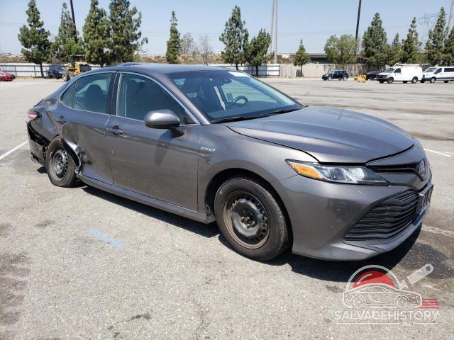 4T1B31HKXKU516336 2019 TOYOTA CAMRY photo no. 4