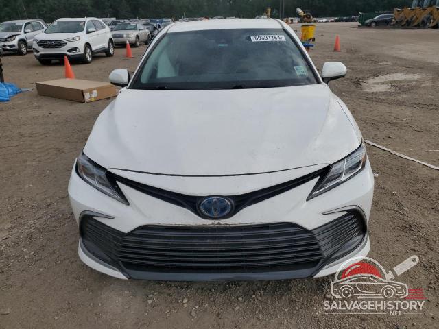 4T1C31AKXNU571744 2022 TOYOTA CAMRY photo no. 5