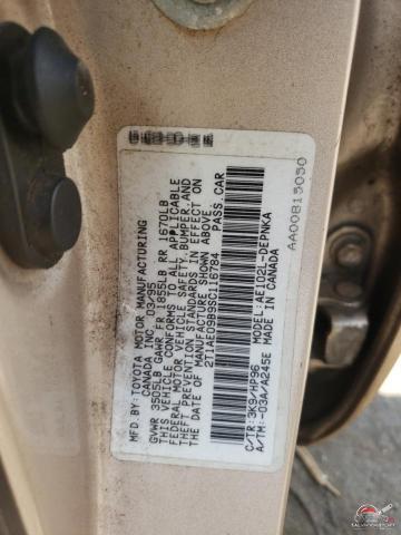 2T1AE09B9SC116784 1995 TOYOTA COROLLA photo no. 12