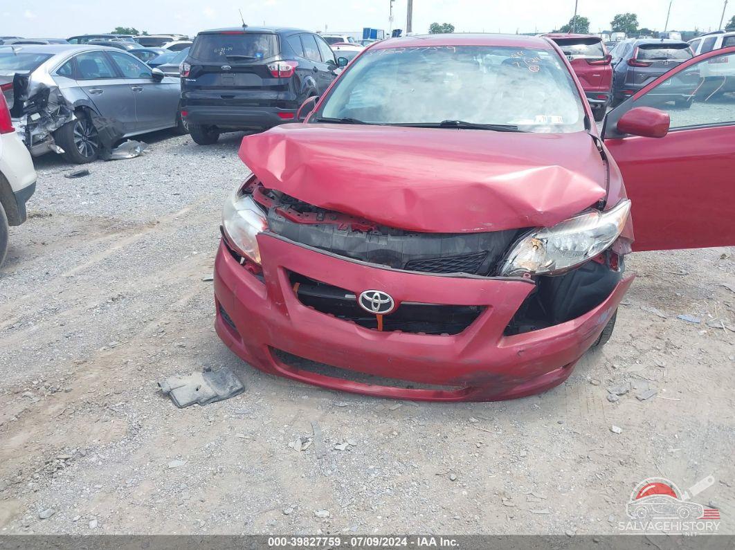 1NXBU4EEXAZ217649 2010 TOYOTA COROLLA photo no. 6