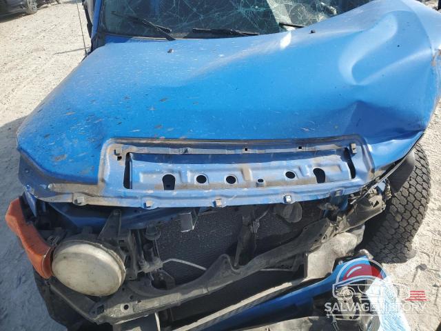 JTEZU11F870012617 2007 TOYOTA FJ CRUISER photo no. 12