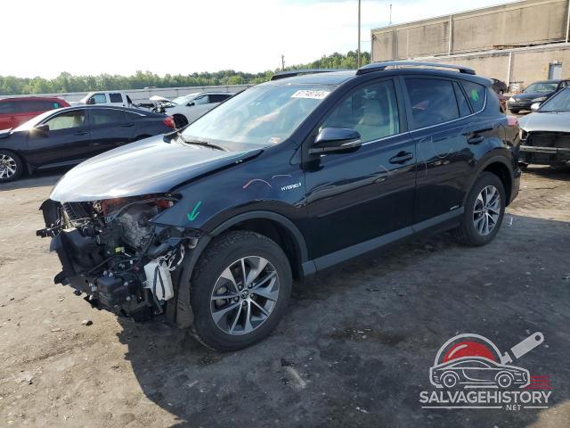 JTMRJREV5JD175481 2018 TOYOTA RAV4 photo no. 4