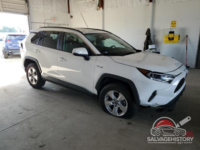 2T3RWRFV7KW010228 2019 TOYOTA RAV4 photo no. 4