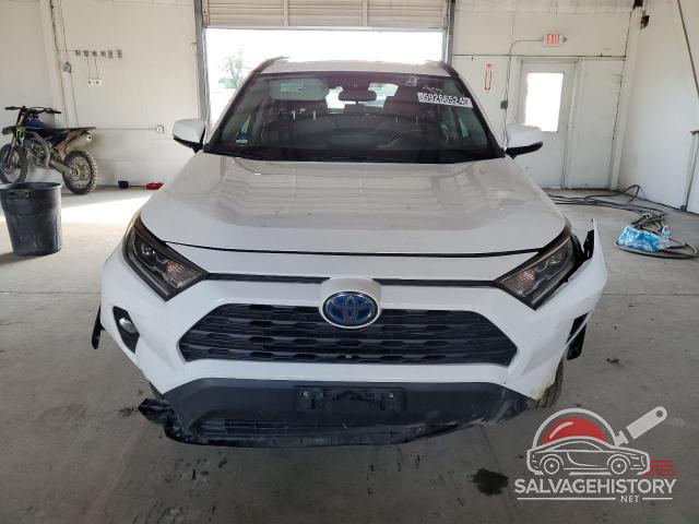 2T3RWRFV7KW010228 2019 TOYOTA RAV4 photo no. 5