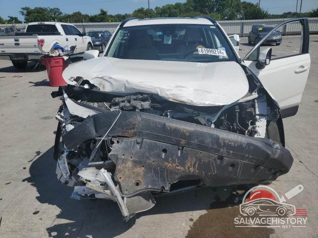 JTMW1RFV9KD511569 2019 TOYOTA RAV4 photo no. 12