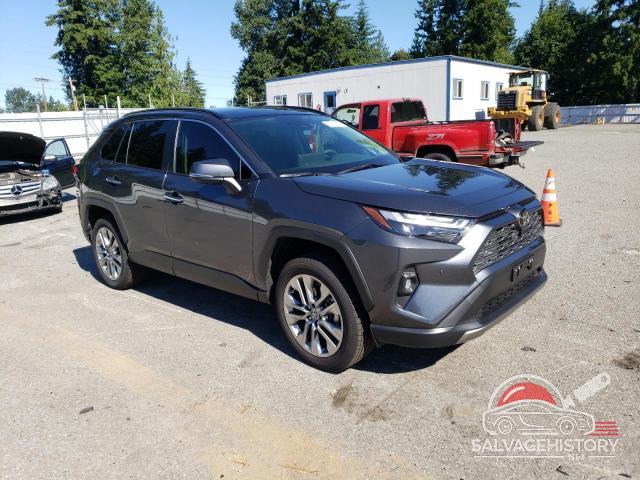 JTMN1RFV2RD103209 2024 TOYOTA RAV4 photo no. 4