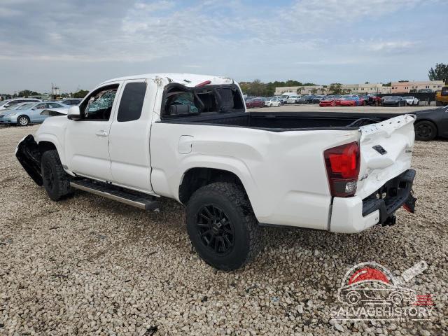 5TFSZ5AN2KX173261 2019 TOYOTA TACOMA photo no. 2