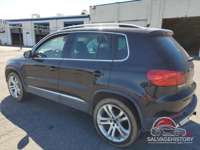 WVGBV3AX9DW598613 2013 VOLKSWAGEN TIGUAN photo no. 2