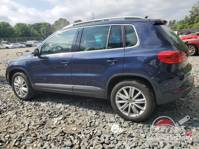 WVGBV7AX8DW519486 2013 VOLKSWAGEN TIGUAN photo no. 2