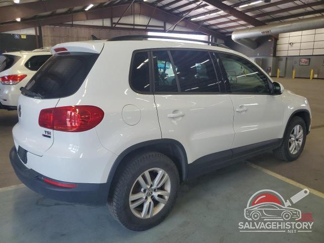 WVGBV7AX1HK005931 2017 VOLKSWAGEN TIGUAN photo no. 3