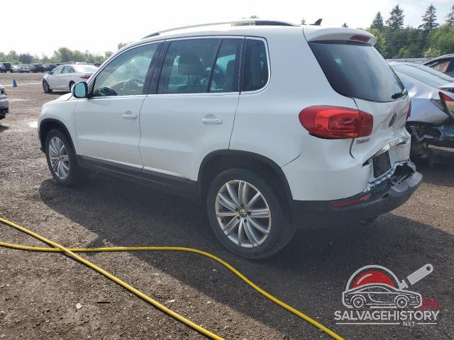 WVGMV7AX4HK034378 2017 VOLKSWAGEN TIGUAN photo no. 2