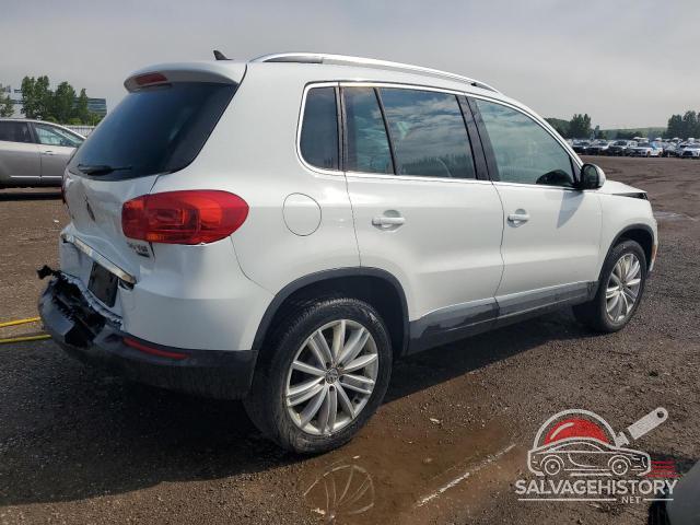 WVGMV7AX4HK034378 2017 VOLKSWAGEN TIGUAN photo no. 3
