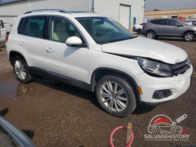 WVGMV7AX4HK034378 2017 VOLKSWAGEN TIGUAN photo no. 4