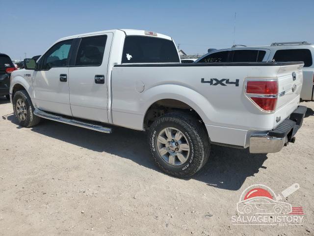 1FTFW1EF3BFD38911 2011 FORD F-150 photo no. 2