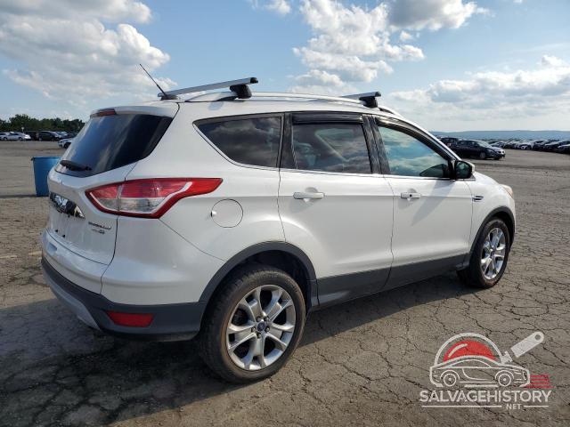 1FMCU9JX9EUC05961 2014 FORD ESCAPE photo no. 3