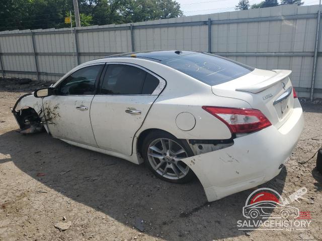 1N4AA5AP0AC841221 2010 NISSAN MAXIMA photo no. 2