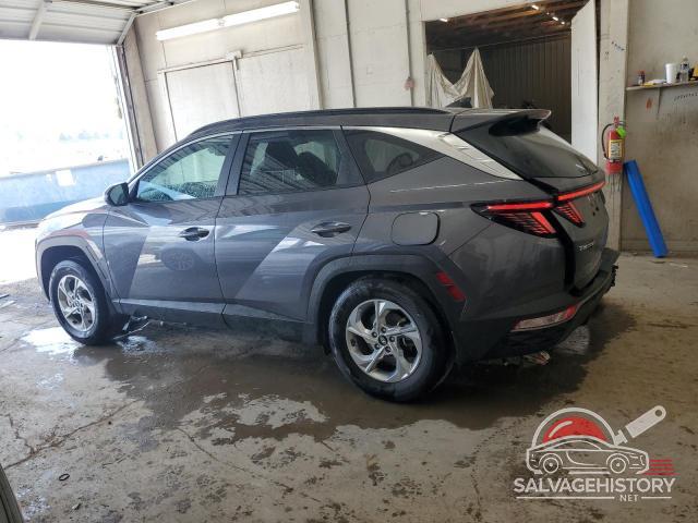 KM8JBCAE3PU242239 2023 HYUNDAI TUCSON photo no. 2