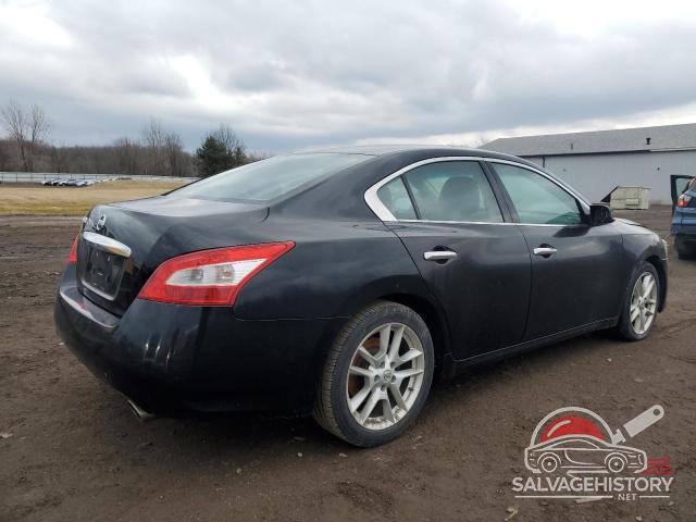 1N4AA5AP7BC835143 2011 NISSAN MAXIMA photo no. 3