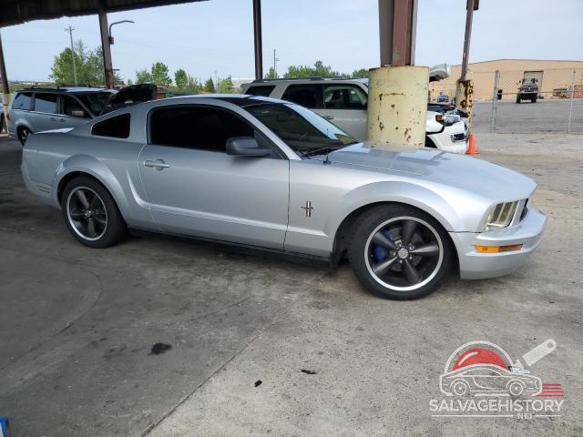 1ZVFT80N065155166 2006 FORD ALL Models photo no. 4