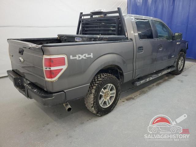 1FTFW1ET7EKD93668 2014 FORD F-150 photo no. 3