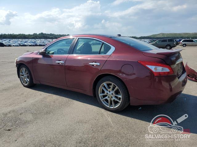 1N4AA5AP5BC848750 2011 NISSAN MAXIMA photo no. 2