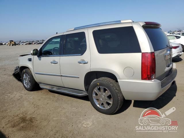1GYFK63887R317307 2007 CADILLAC ESCALADE photo no. 2