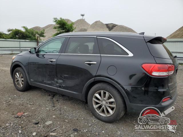 5XYPGDA30GG065901 2016 KIA SORENTO photo no. 2