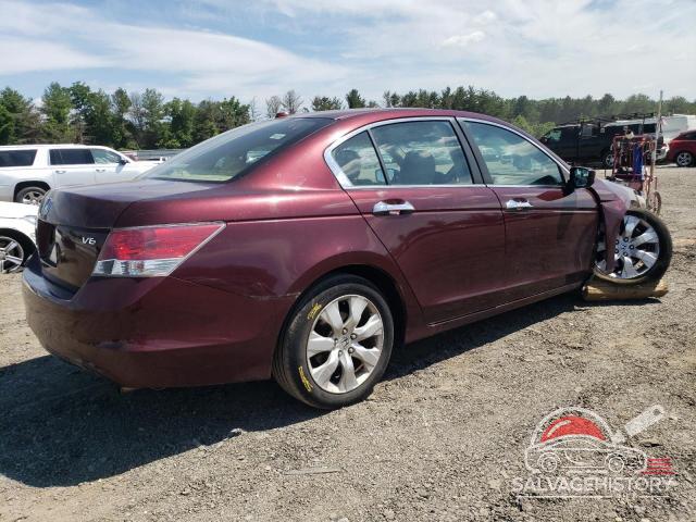 1HGCP36828A019132 2008 HONDA ACCORD photo no. 3