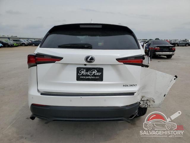 JTJYARBZ4K2155445 2019 LEXUS NX photo no. 6