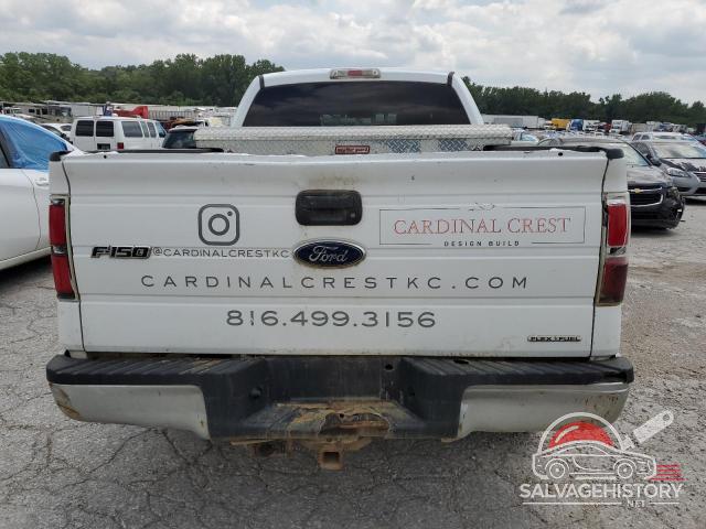 1FTEX1CM4BFB66902 2011 FORD F-150 photo no. 6
