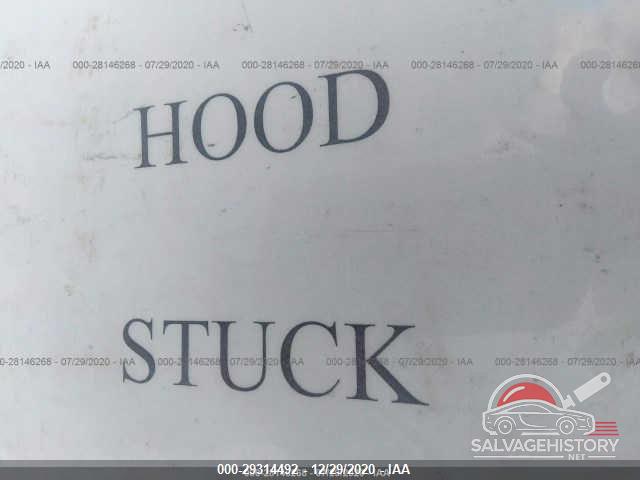 2G1WT57K391123517 2009 CHEVROLET IMPALA photo no. 10