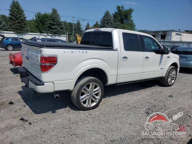 1FTFW1ET1EFA57569 2014 FORD F-150 photo no. 3