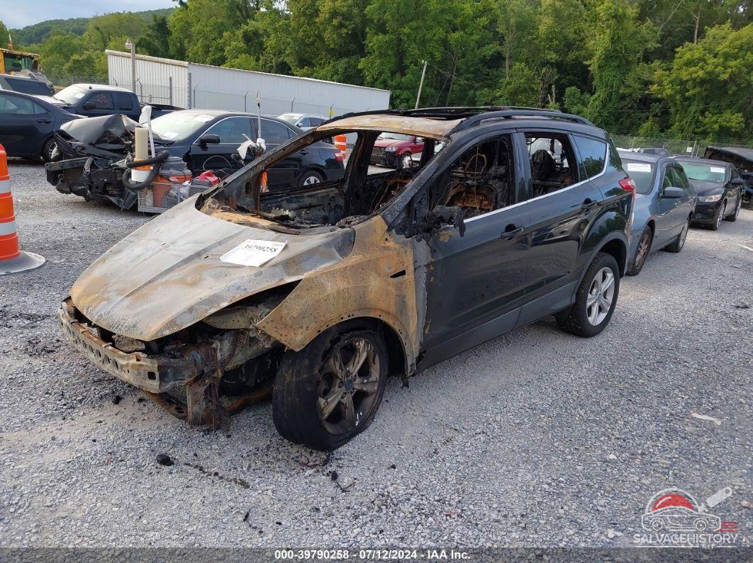 1FMCU9GX0DUB06936 2013 FORD ESCAPE photo no. 2