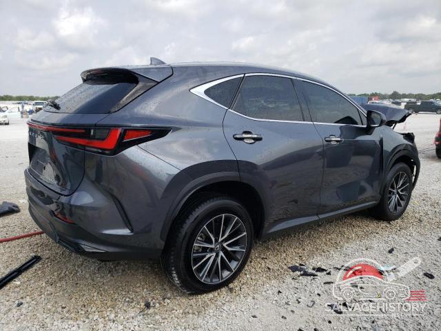 2T2ADCAZ2RC00629X 2024 LEXUS NX 250 BAS photo no. 3