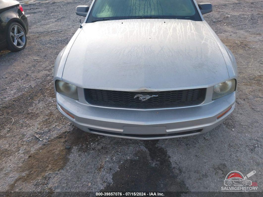 1ZVFT80NX75263991 2007 FORD MUSTANG photo no. 6