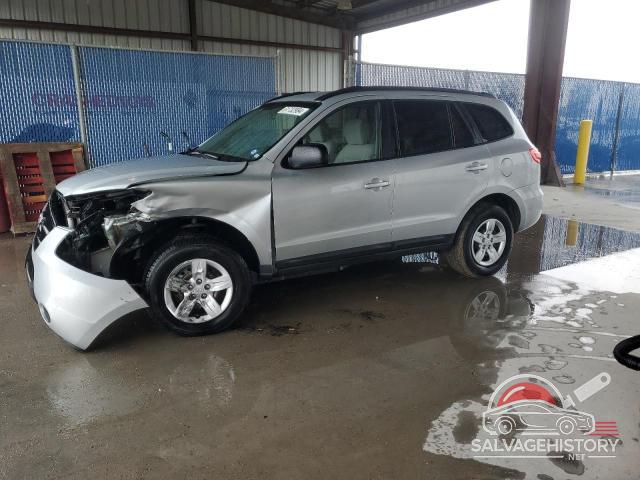 5NMSG13D09H329075 2009 HYUNDAI SANTA FE photo no. 24