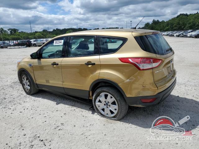 1FMCU0F72EUB90529 2014 FORD ESCAPE photo no. 2
