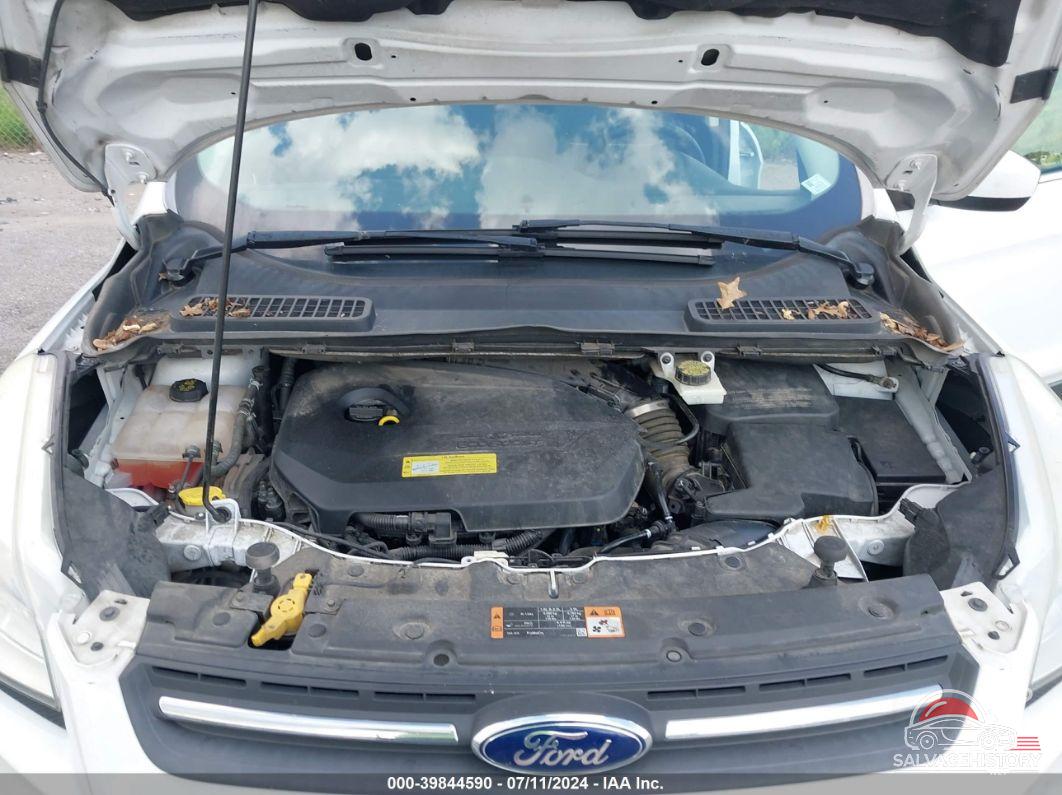 1FMCU0GX8EUC31955 2014 FORD ESCAPE photo no. 10