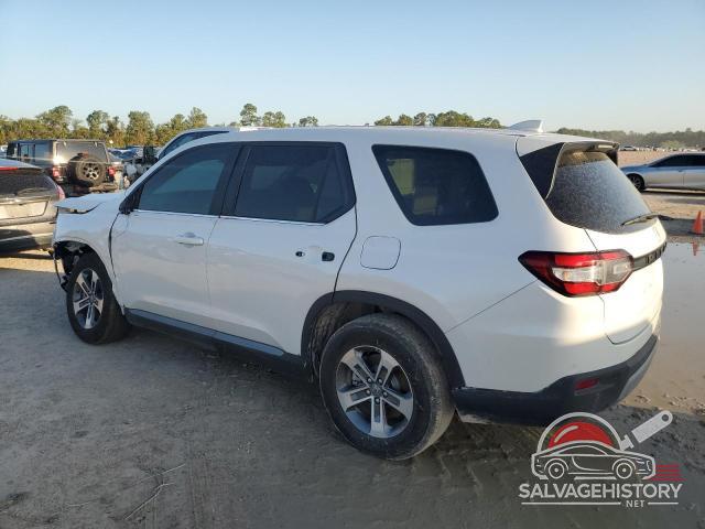 5FNYG2H41PB008086 2023 HONDA PILOT photo no. 2